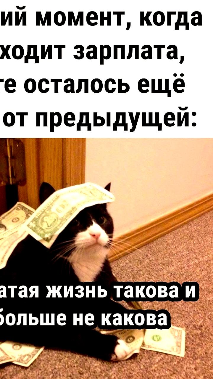 Средняя зарплата в России достигла 103,2 тыс. рублей, ожидается дальнейший рост
