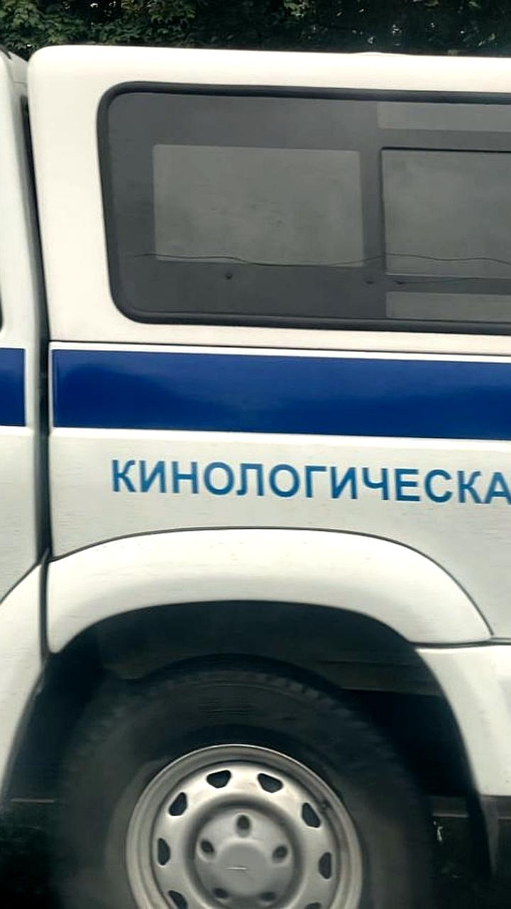 Эвакуация образовательных учреждений в Липецке из-за угрозы минирования