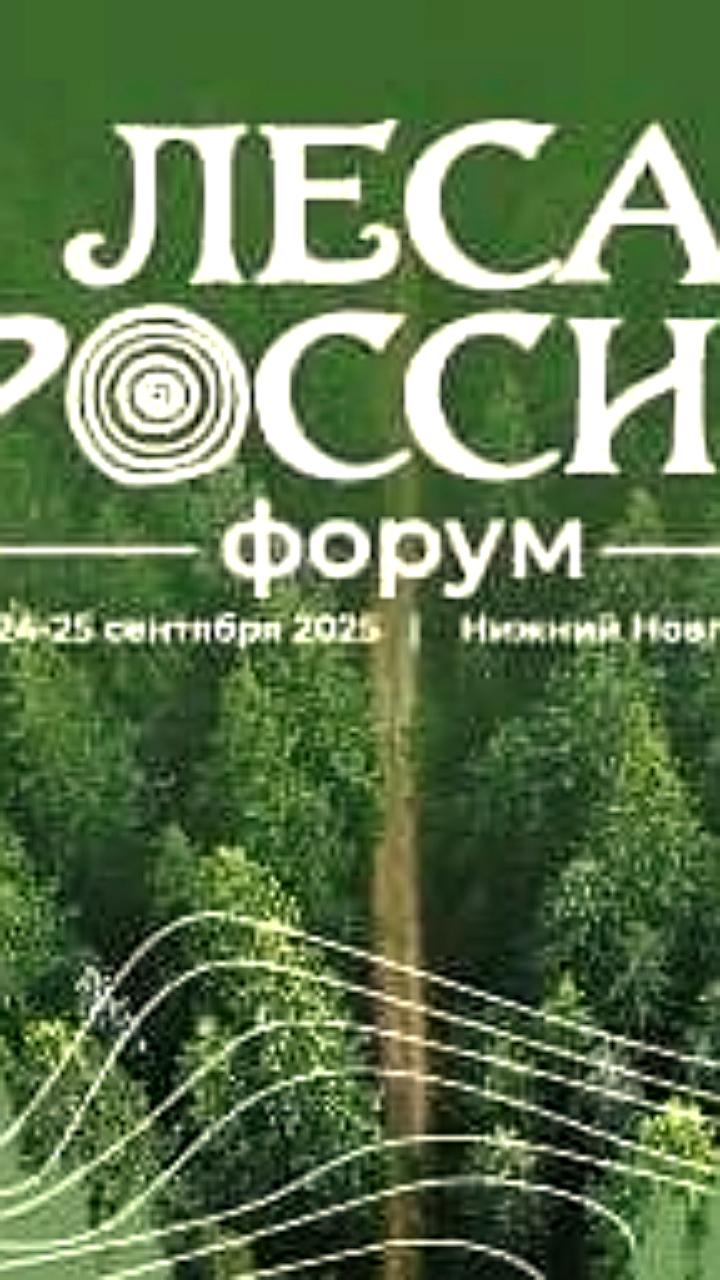 Форум Леса России: обсуждение ключевых вопросов лесной отрасли в Нижнем Новгороде