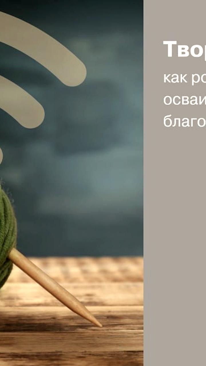 Исследование: 80% россиян имеют хобби, большинство осваивают его через соцсети