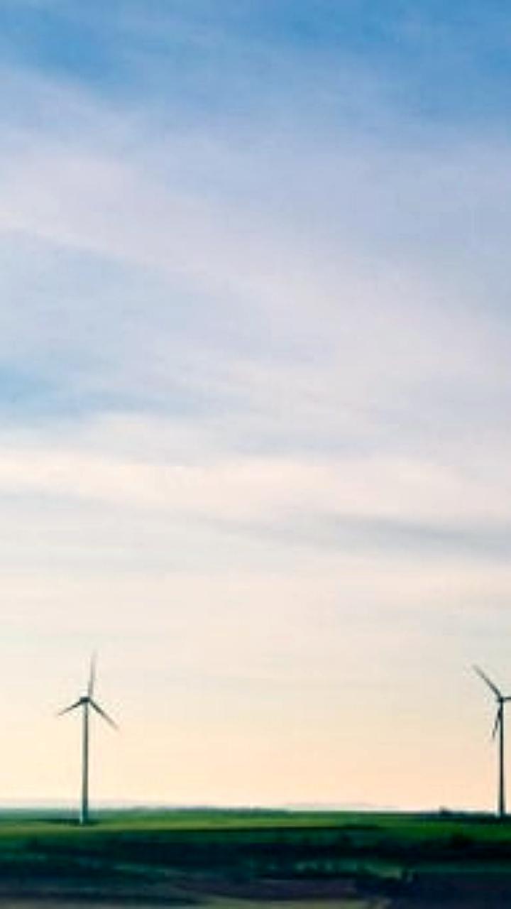 TotalEnergies и RWE выиграли тендер на строительство крупнейшей ветряной электростанции во Франции