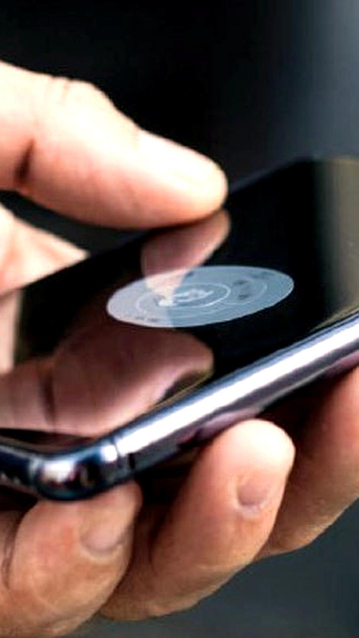 На Камчатке боцмана оштрафовали за публичное оправдание терроризма в интернете