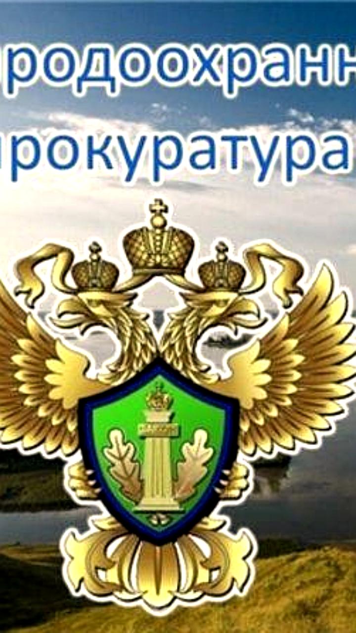 Прокуратура Оренбуржья требует взыскать 64 млн рублей с нефтедобывающей компании за разлив нефти