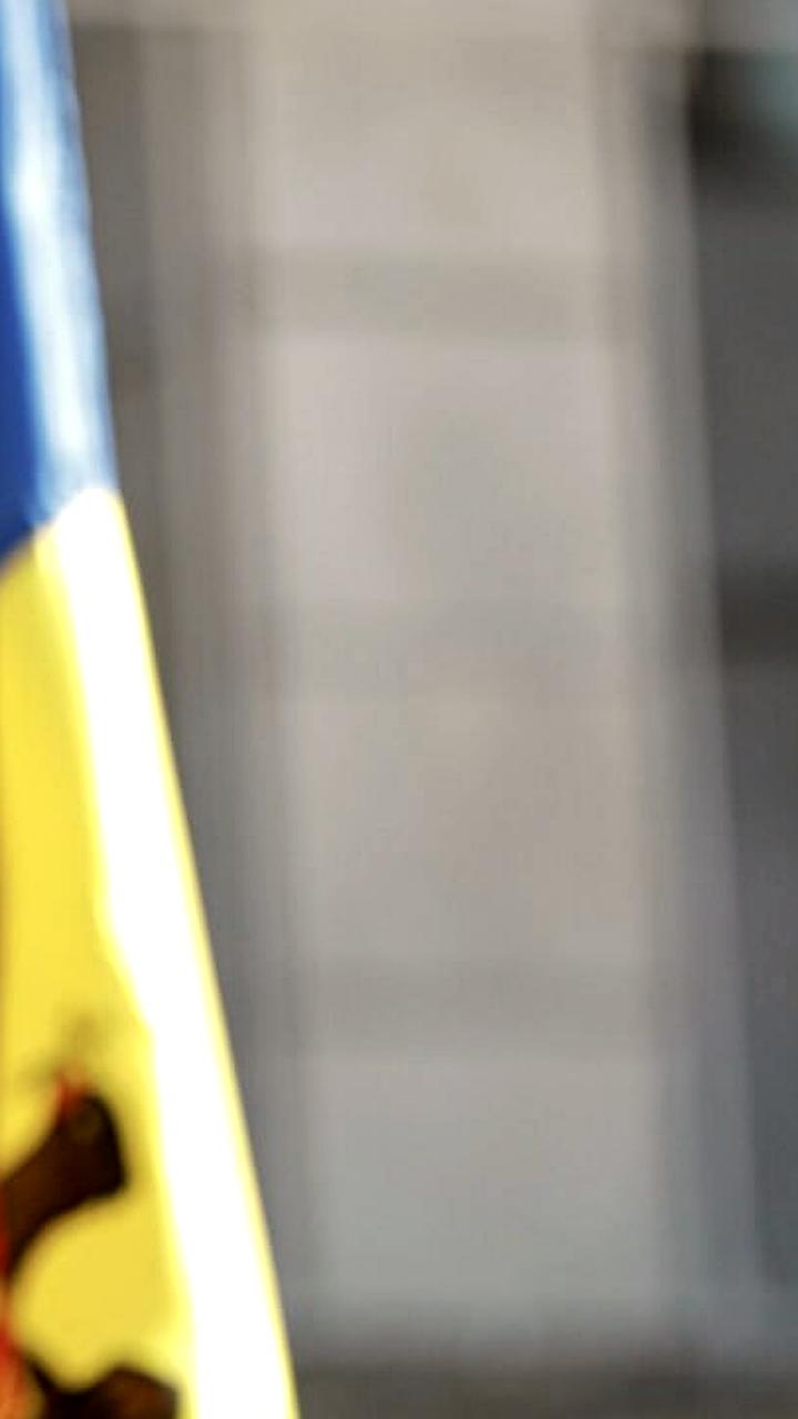 Апелляционная палата Кишинева ограничила деятельность партии Сердце Молдовы на 12 месяцев