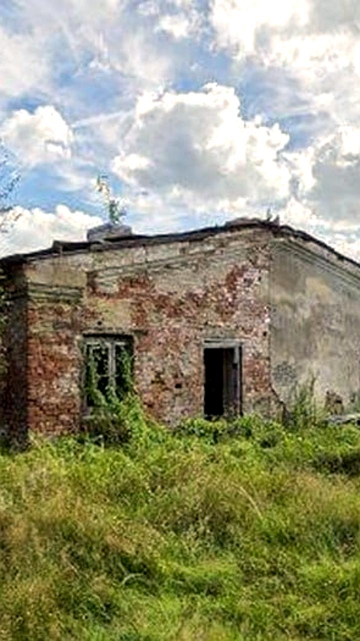 В Петергофе восстановят Елизаветинскую оранжерею благодаря программе Рубль за метр