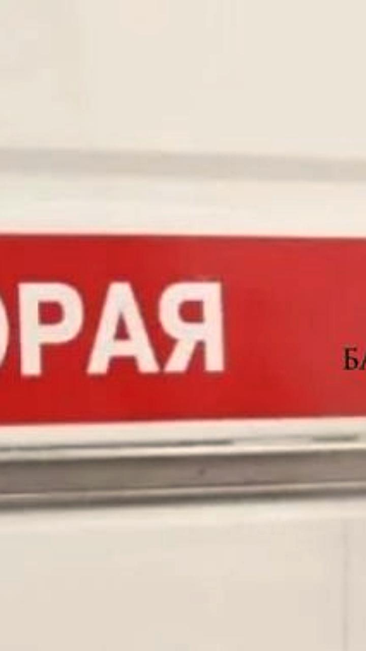 В Бурятии отловили агрессивную собаку, напавшую на пенсионерку