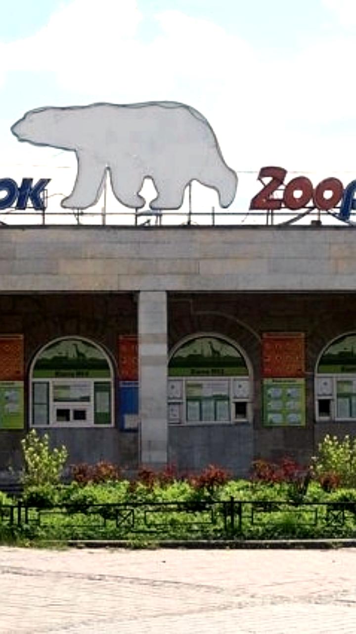 Пенсионеры получат бесплатный вход в зоопарки Ижевска и Ленинграда в честь Дня пожилого человека