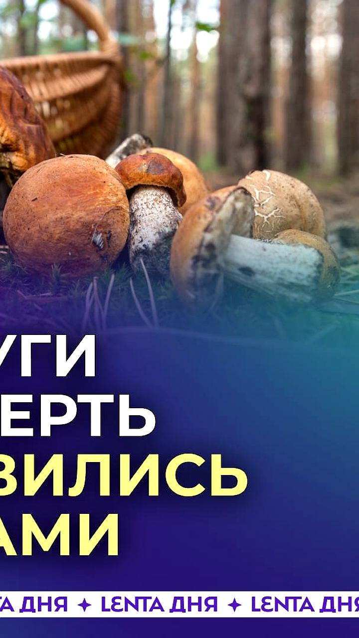 Семья из Петербурга и Тверской области пострадала от отравления грибами