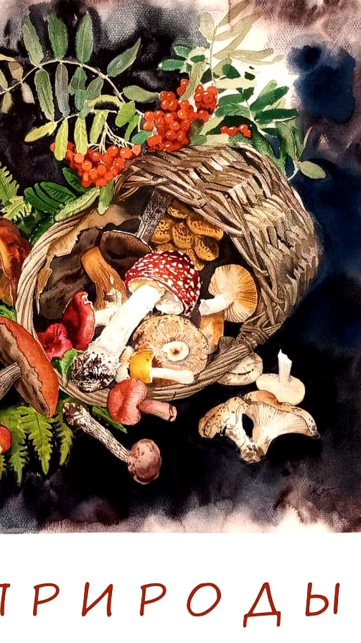 Открытие выставок: экслибрисы Владимира Марьина в Томске и иранская миниатюра в Санкт-Петербурге