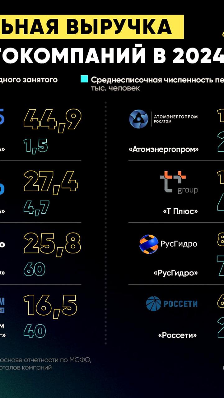 ЭЛ5 Энерго лидирует по выручке на одного сотрудника в 2024 году