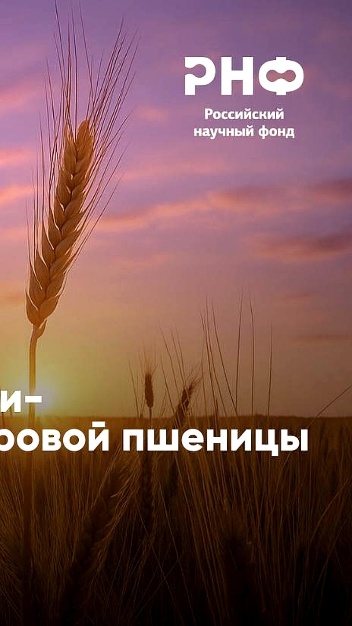 На Ямале обнаружены новые виды опасных грибов из-за изменения климата
