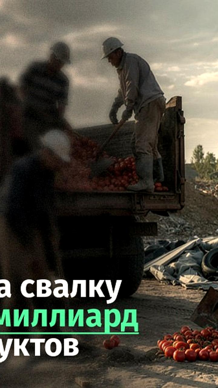 Международный день борьбы с продовольственными отходами: глобальные потери и пути решения