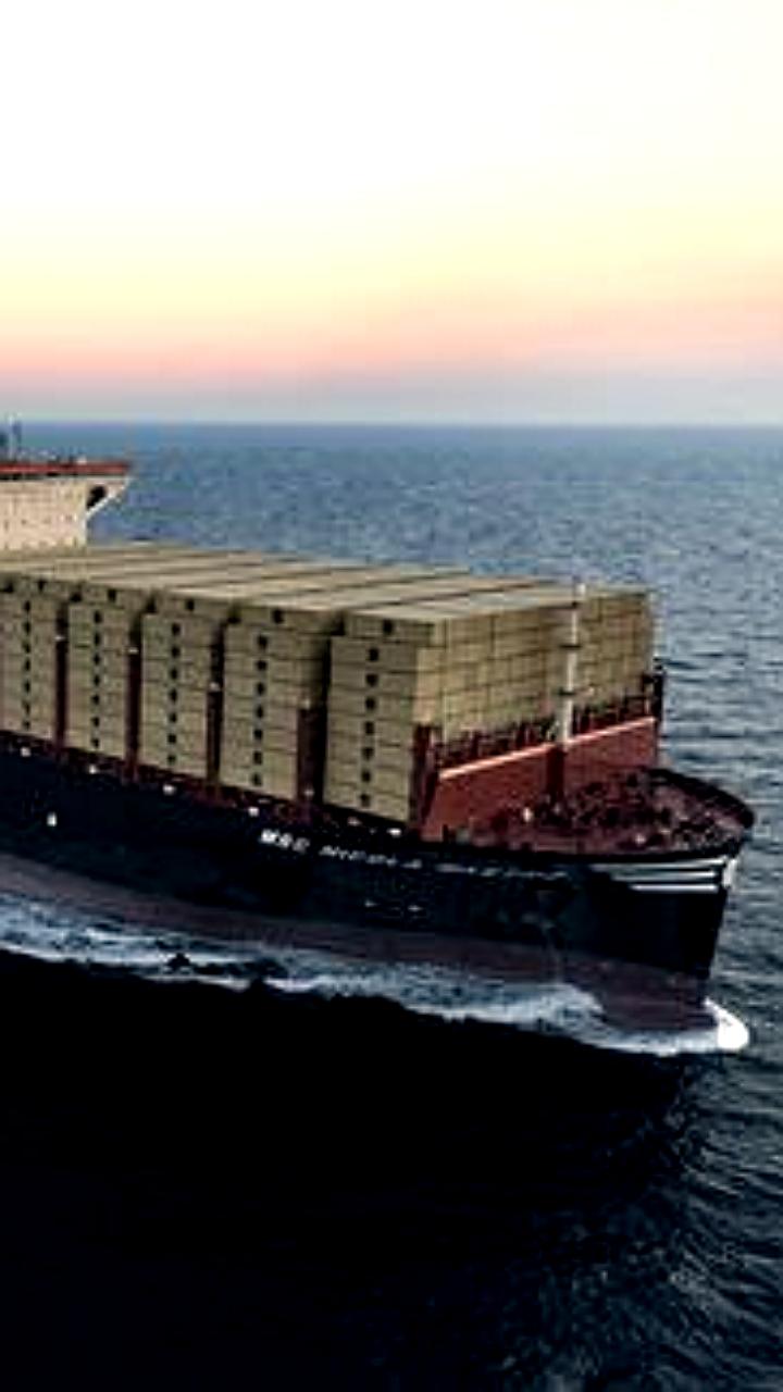 MSC отказывается от использования Северного морского пути из-за экологических проблем