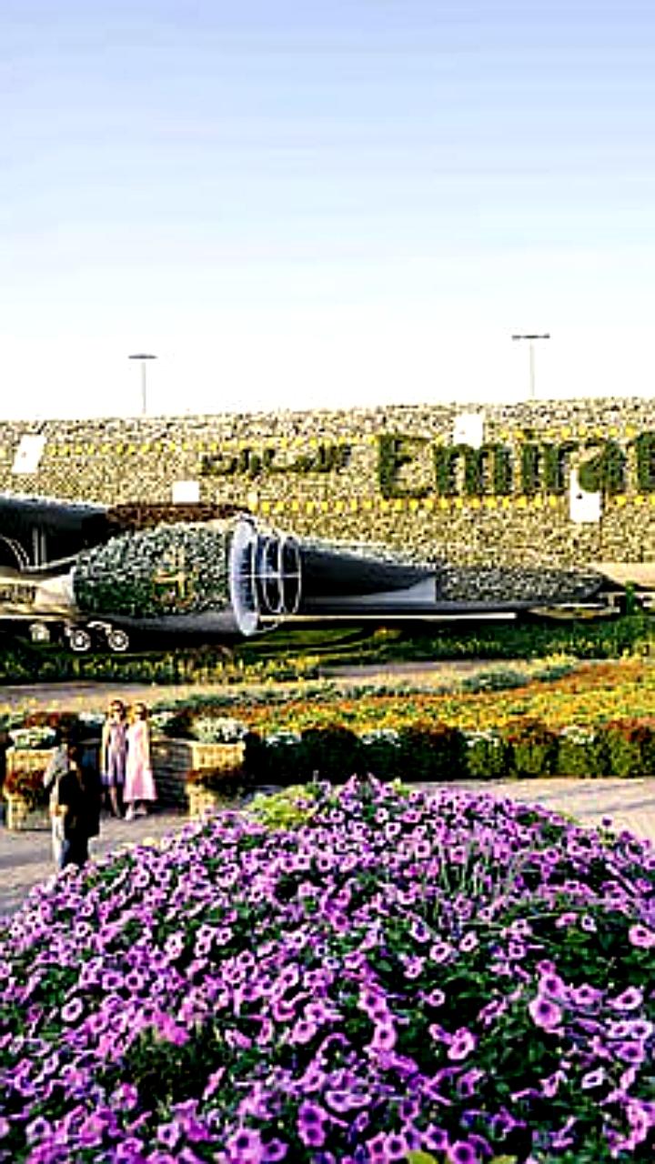 Dubai Miracle Garden вновь открылся с бесплатным входом для именинников