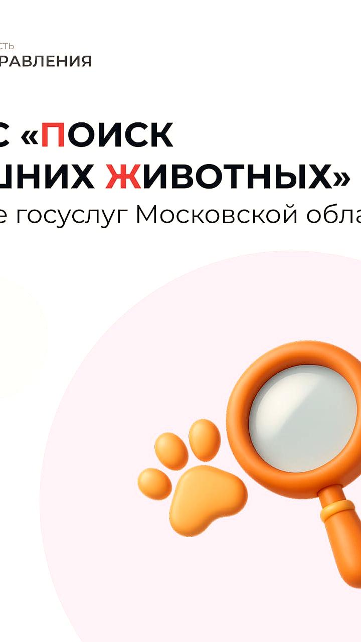 Новый сервис поиска домашних животных в Подмосковье использует ИИ для помощи в нахождении питомцев
