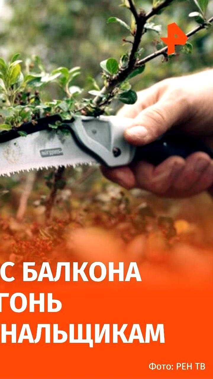 В Люберцах мужчина открыл огонь по коммунальщикам из-за спиленного дерева