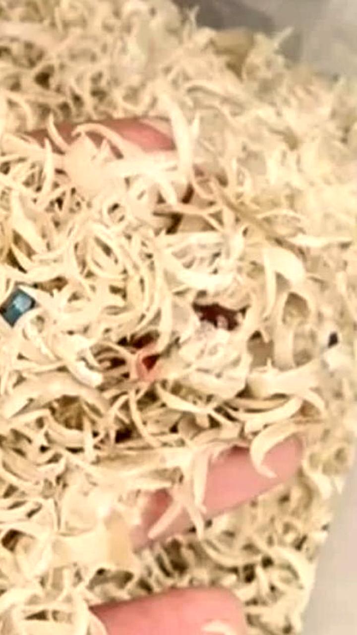 Китайцы начали зарабатывать на продаже отстриженных ногтей для традиционной медицины