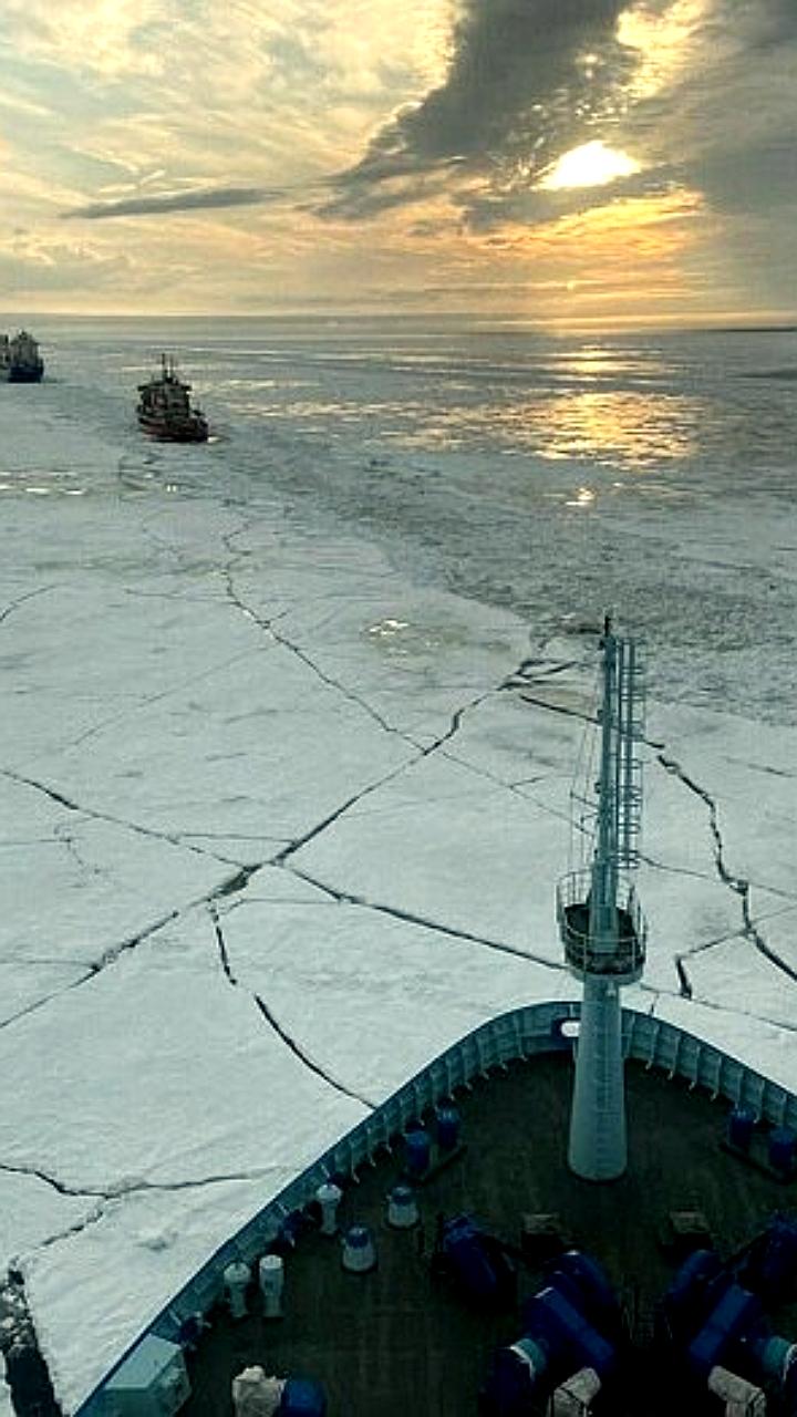 В бюджете 2026 года предусмотрено 20,6 млрд рублей на развитие рыбной отрасли и Северного морского пути