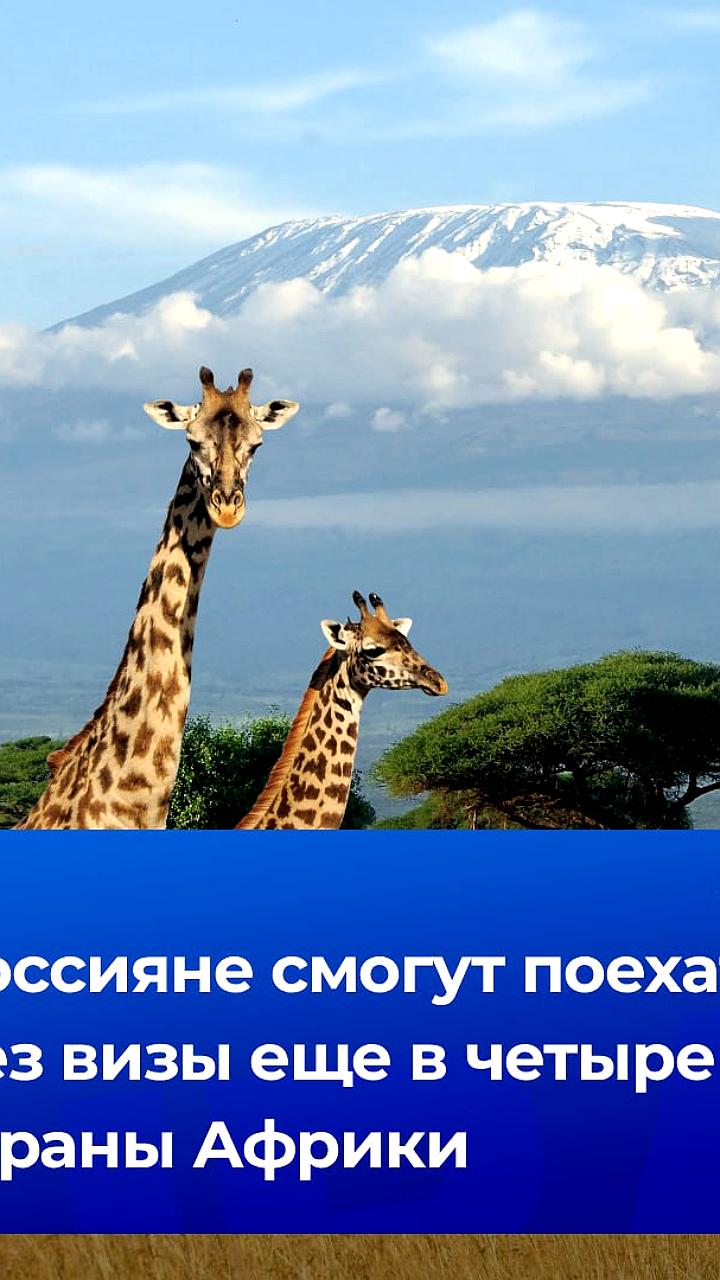 Россияне смогут посещать Замбию, Зимбабве, Мозамбик и Эсватини без визы