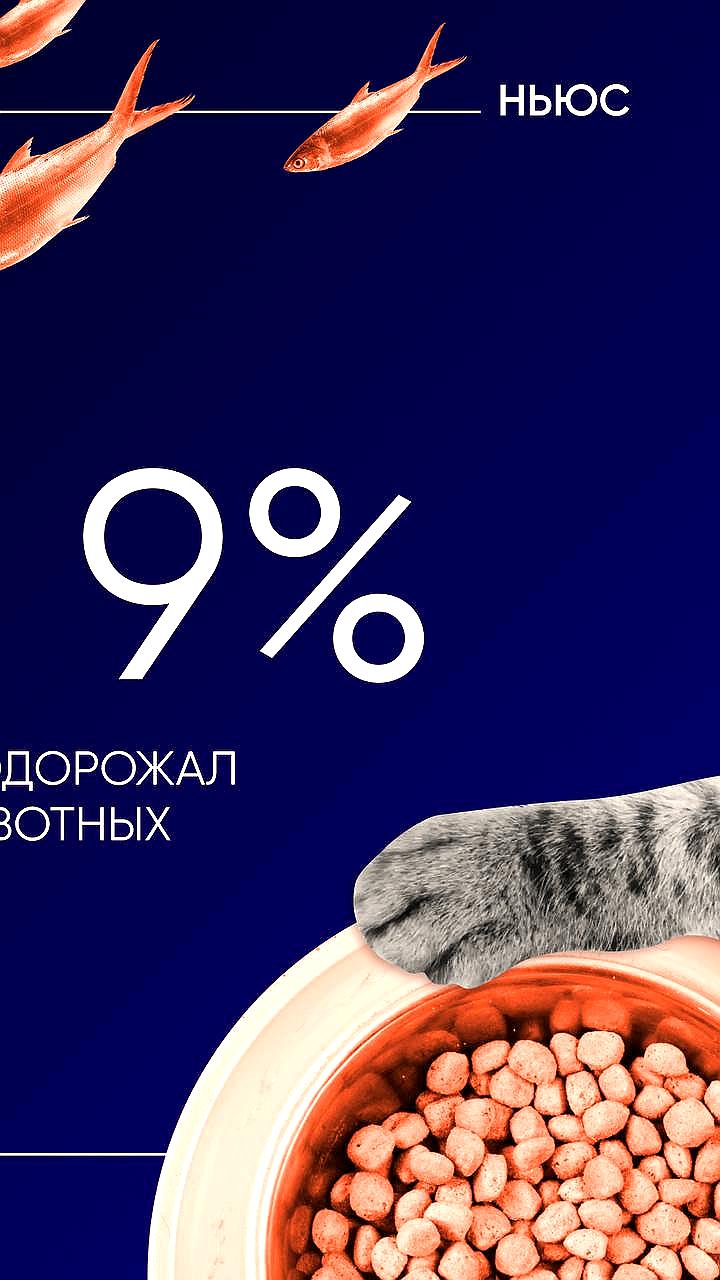 В России зафиксировано резкое подорожание кормов для домашних животных