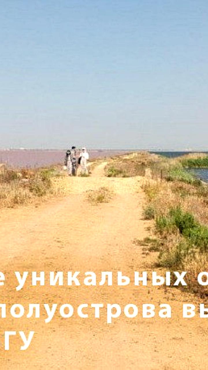 Исследование выявило антропогенное загрязнение соленых озер Крыма