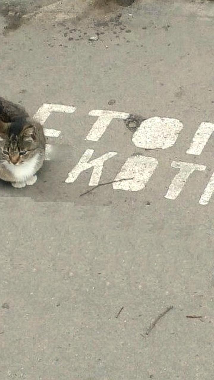 Ограничение движения на Московском шоссе в Самаре с 3 по 6 октября