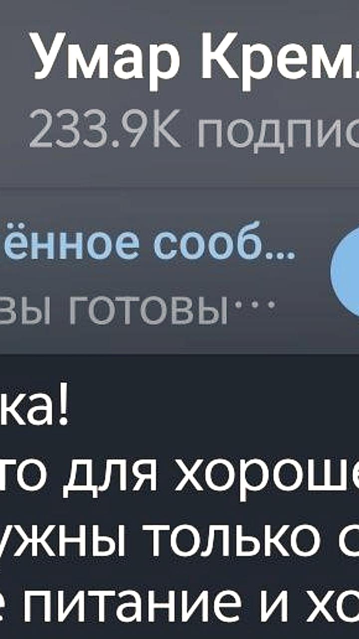 Рольф Умар Кремлев инвестирует в производство БАД через компанию Ipsum