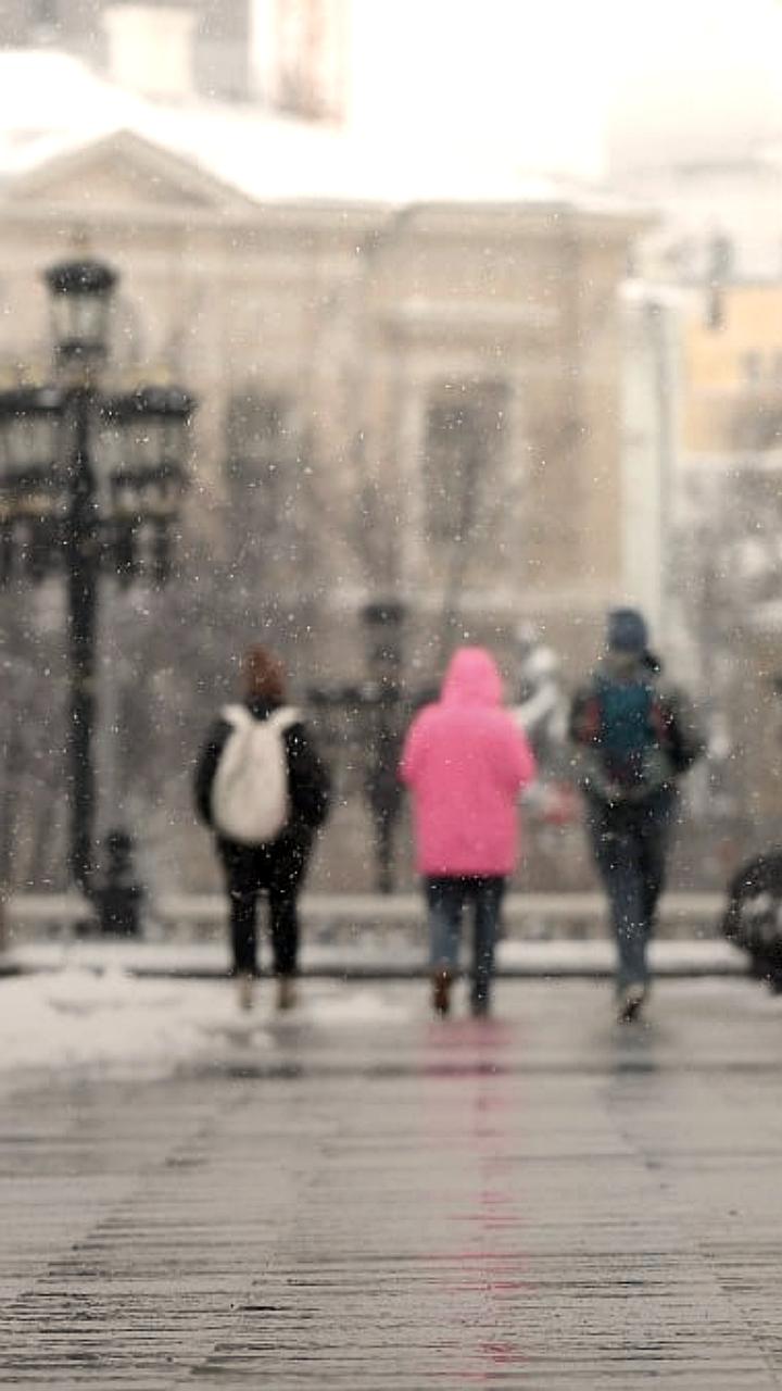Прогноз погоды на январь 2026 года: оттепели и похолодания в России
