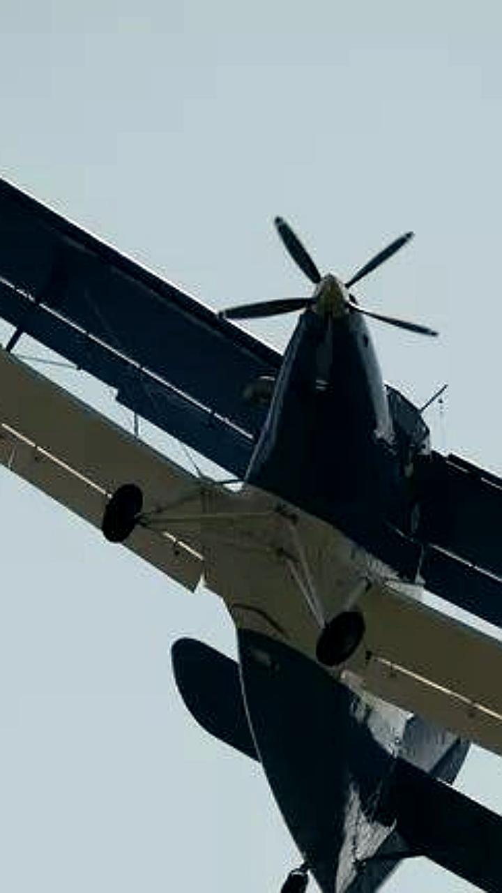 Крушение самолета АН-2 в Красноярском крае: один погибший