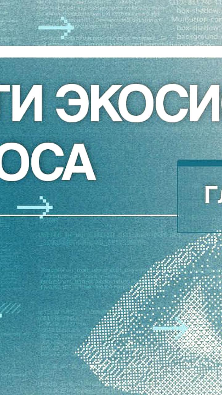 На ГРК Быстринское планируется строительство золотоизвлекательной фабрики через два года