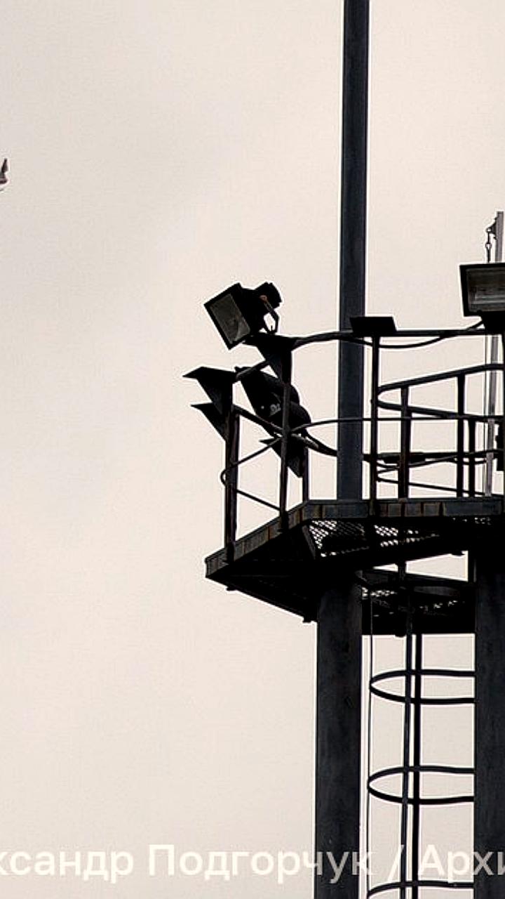 Торговые центры в Белгороде приостановили работу из-за атак БПЛА