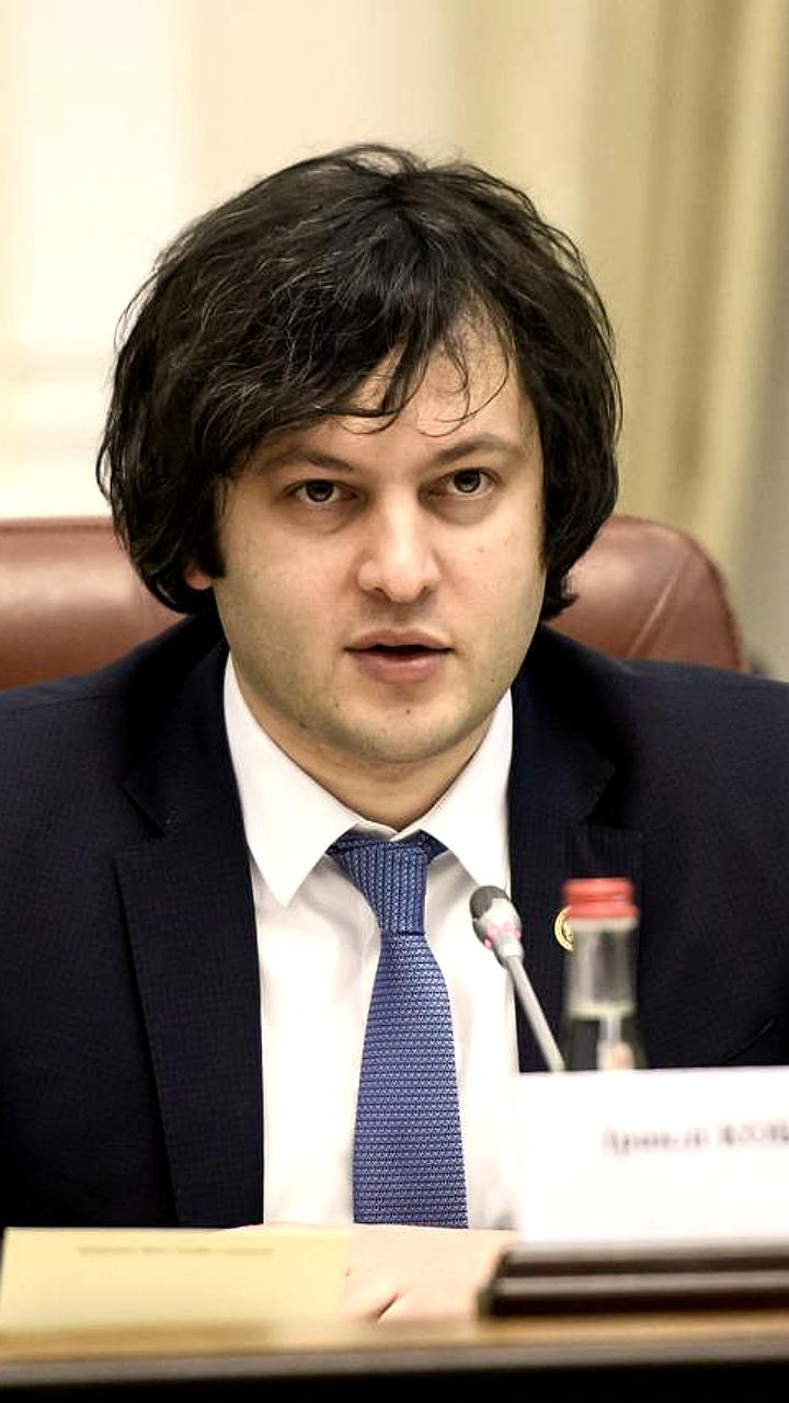 Премьер Грузии обвинил посла ЕС в поддержке беспорядков в Тбилиси