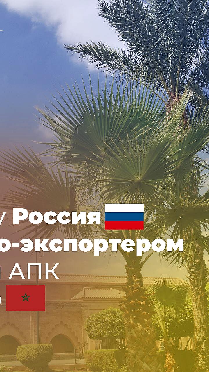 Россия стала нетто экспортером агропродукции в Марокко в 2024 году