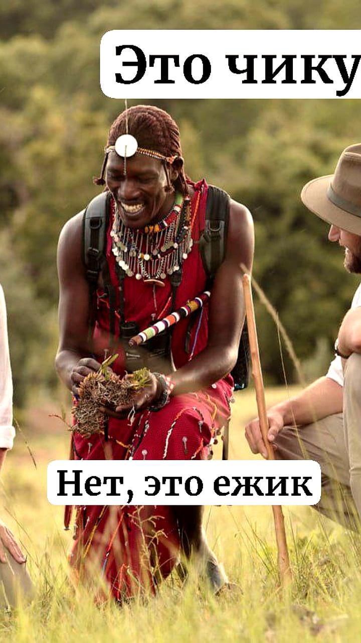 В южном Китае зарегистрировано более 3200 случаев лихорадки чикунгунья за неделю