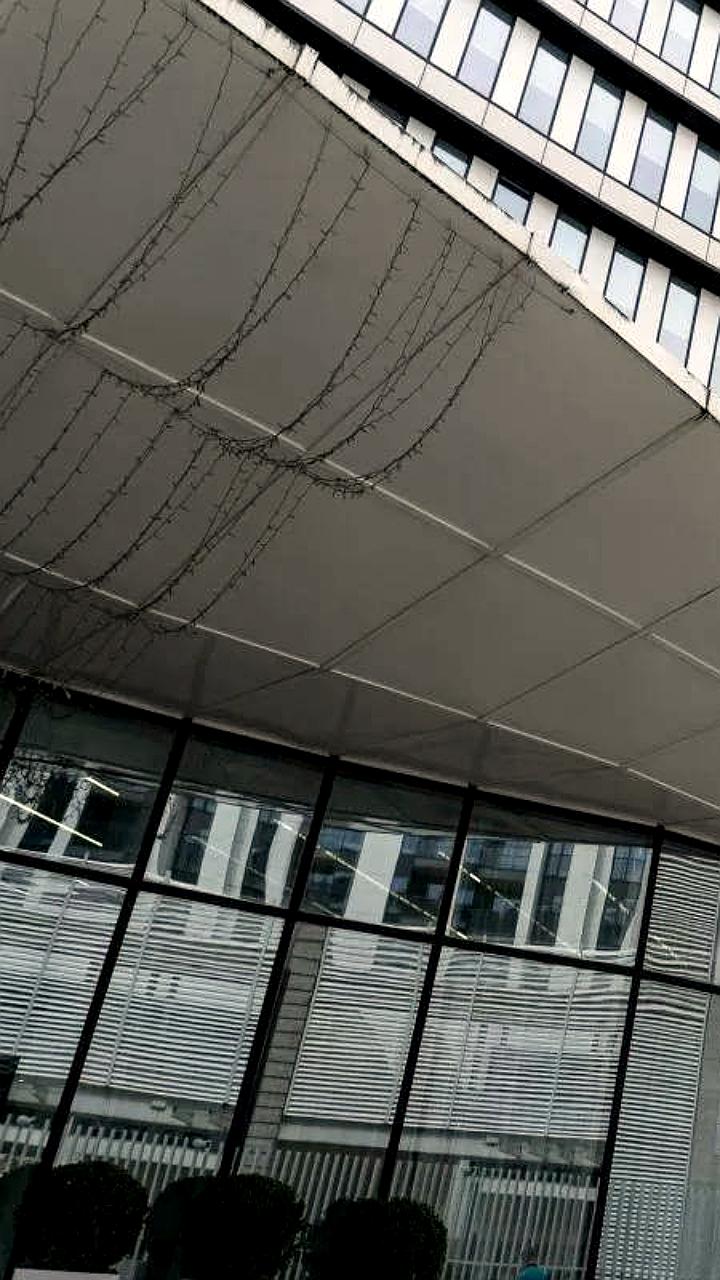 В Сириусе запланировано открытие лабораторий биотехнологий и медицинской химии к 2026 году