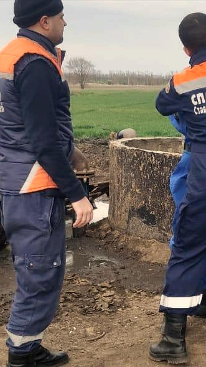 Суд над руководством сельхозпредприятия в Ставрополье после гибели трех рабочих