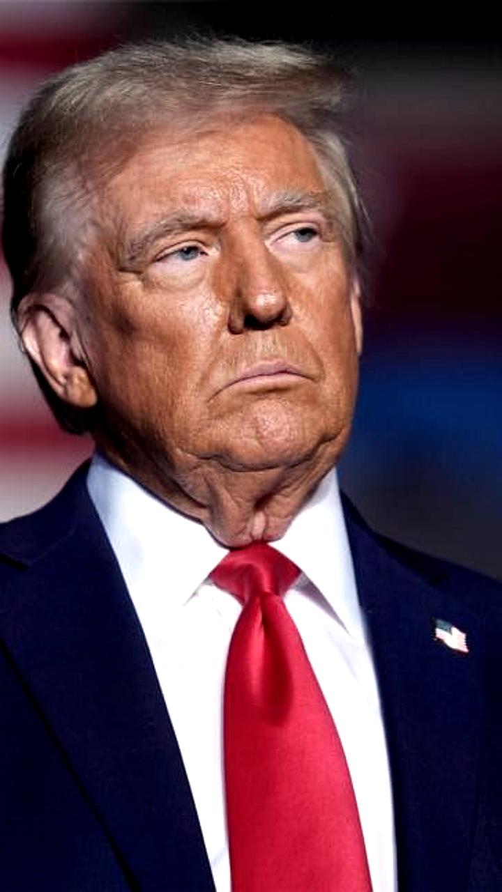 Трамп одобрил строительство дороги для добычи полезных ископаемых на Аляске