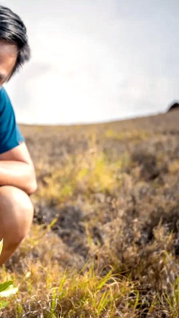 Стартап Terraformation предлагает подписку на высадку деревьев за 25 долларов в месяц