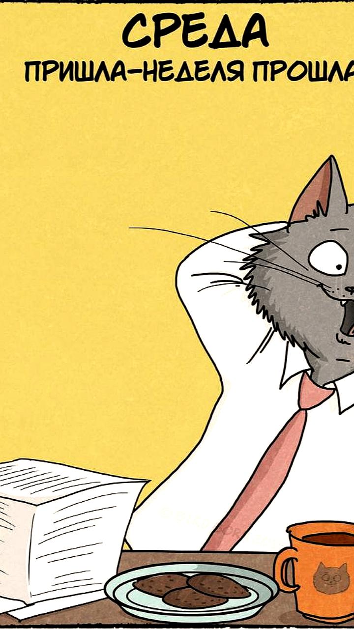 Среда признана самым эффективным рабочим днем недели по мнению академика Онищенко