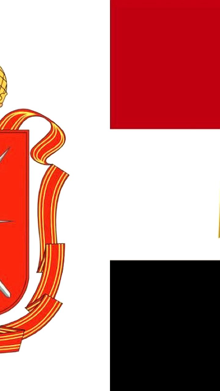Тульские компании обсудили экспорт в Египет на онлайн встрече с Торгпредом