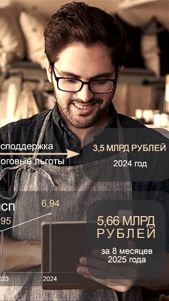 Госдума поддерживает малый и средний бизнес через бюджет 2026-2028