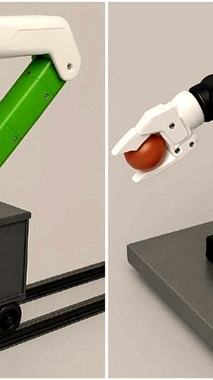 Студент НГУ разработал робота для автоматического сбора томатов