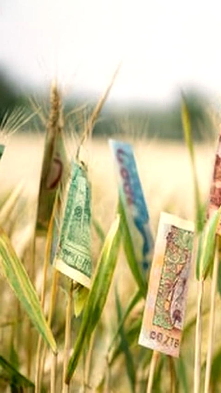 Минфин выявил нецелевое использование кредитов по программе Ауыл аманаты