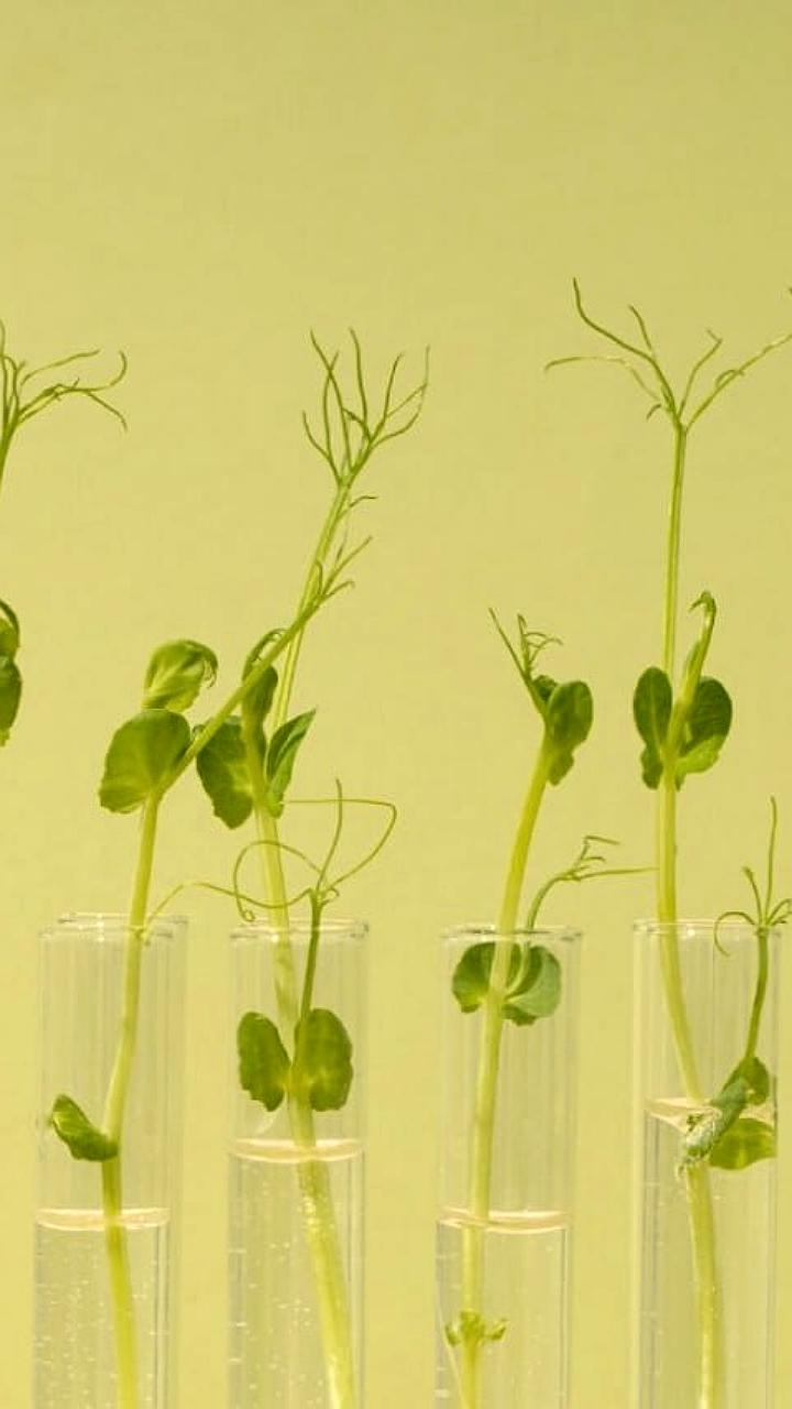 Испытания системы жизнеобеспечения полного цикла на МКС запланированы на 2028 год