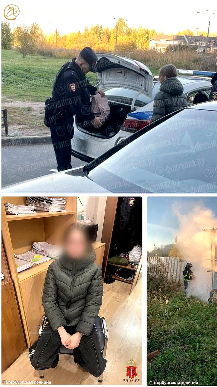 Школьница в Петербурге задержана за поджог вышки сотовой связи в попытке заработать на смартфон