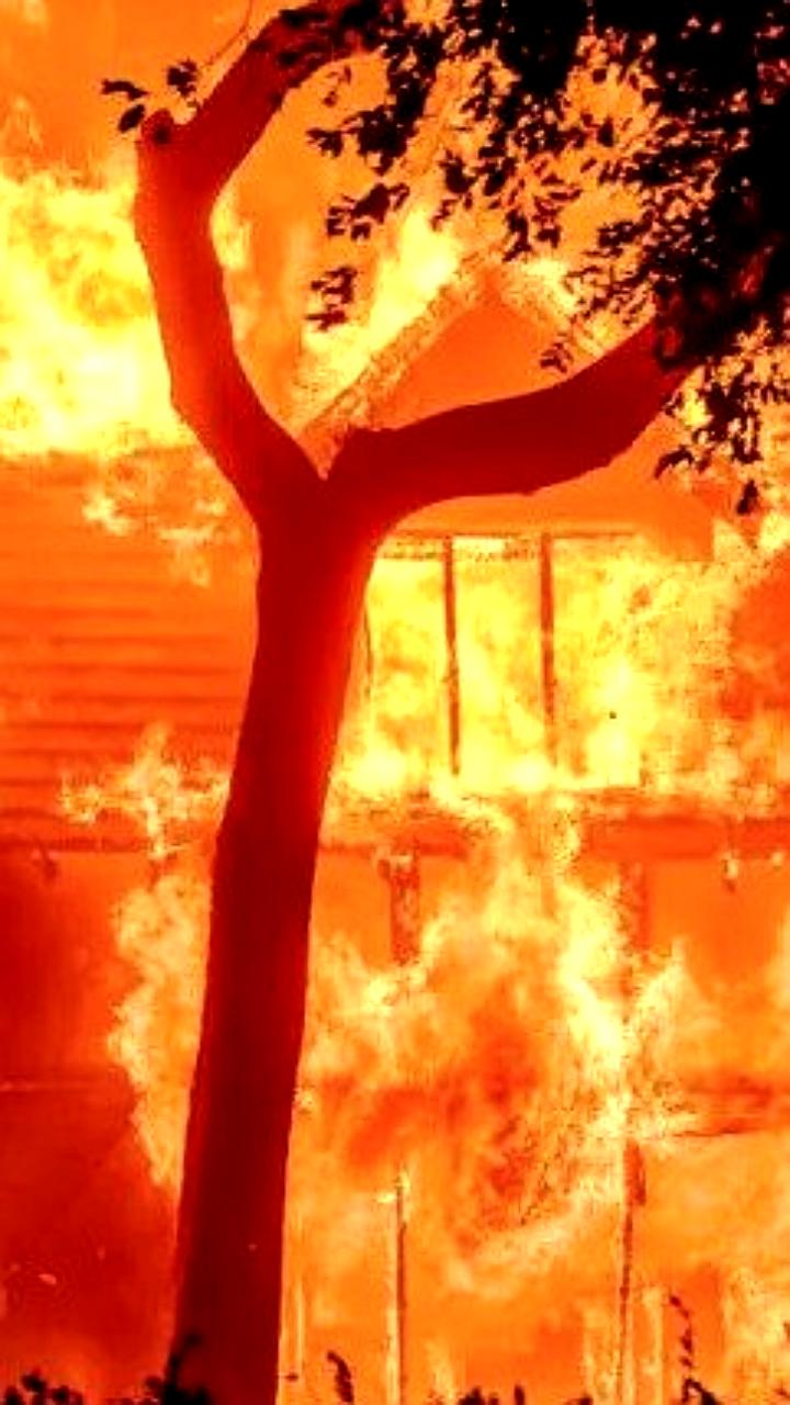 Арестован подозреваемый в поджоге, приведшем к смертоносному пожару в Лос Анджелесе