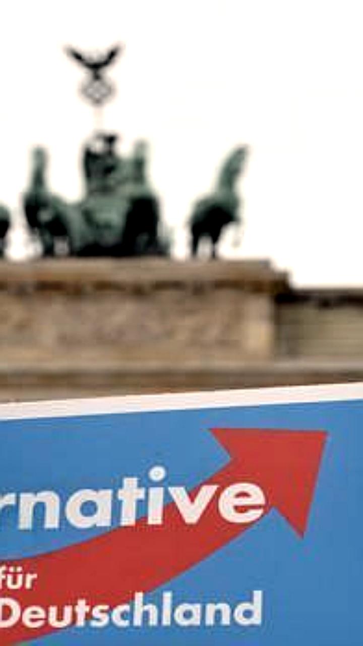 Немецкие депутаты АдГ отмечают день рождения Путина в посольстве РФ в Берлине