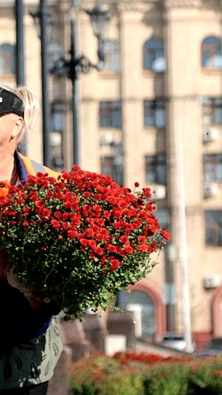 Симферополь украшен осенними цветами в рамках сезонной высадки