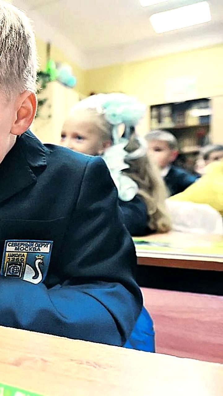 Петербургские депутаты обсуждают запрет на использование телефонов в школах