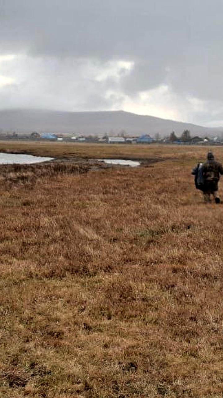 Экологические акции по очистке берегов прошли в Забайкальском крае и Республике Алтай